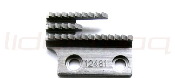 Diente 12481