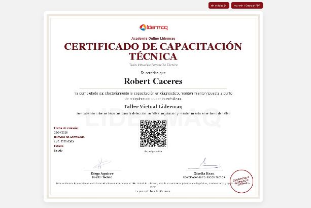 Vista previa del certificado